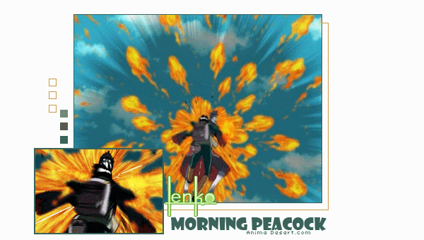 Morning-Peacock.gif
