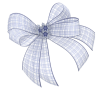 BD-Snow Thyme-Bow1.png