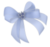 BD-Snow Thyme-Bow3.png